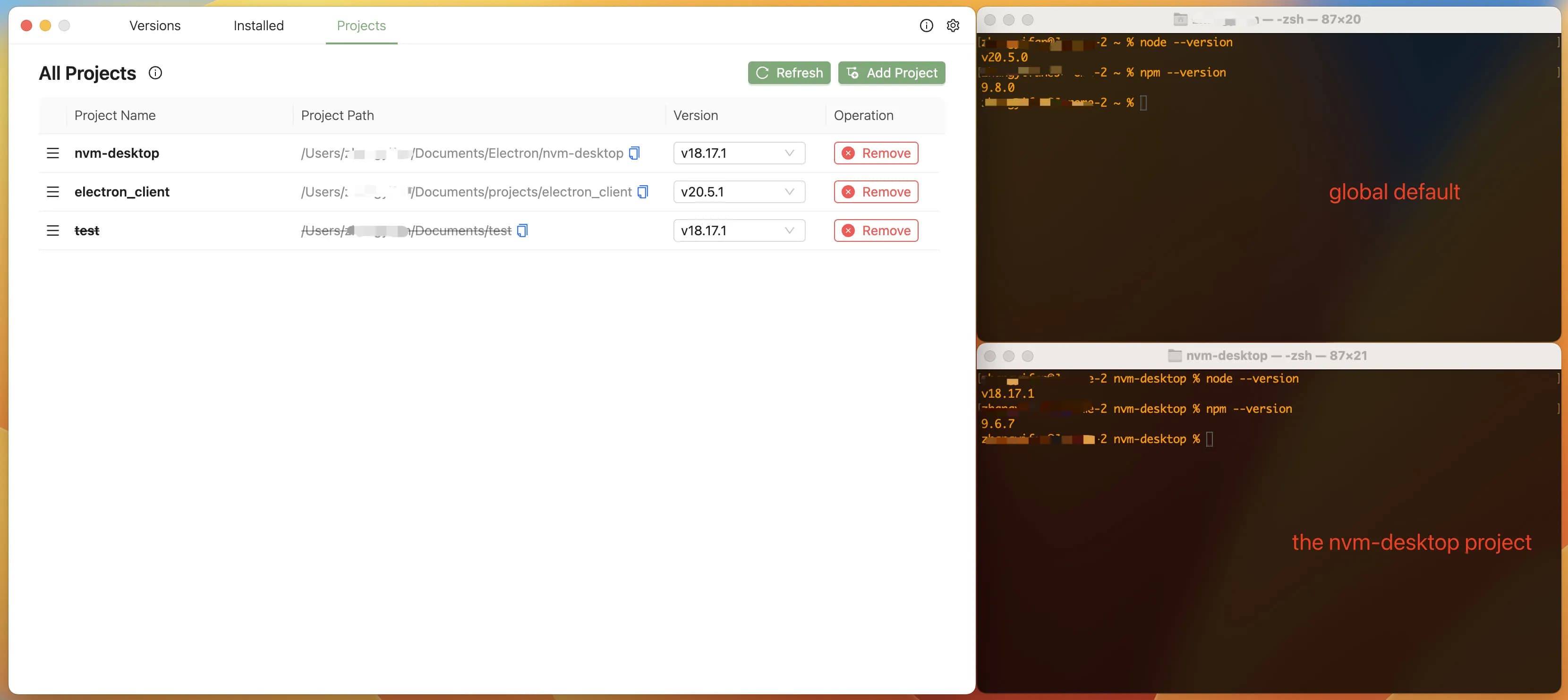 项目管理界面截图